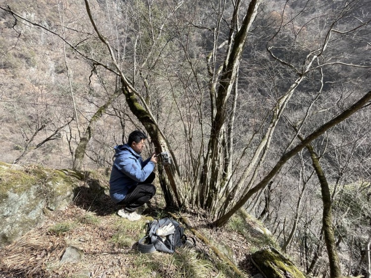 新春走基层丨秦岭深处护林人