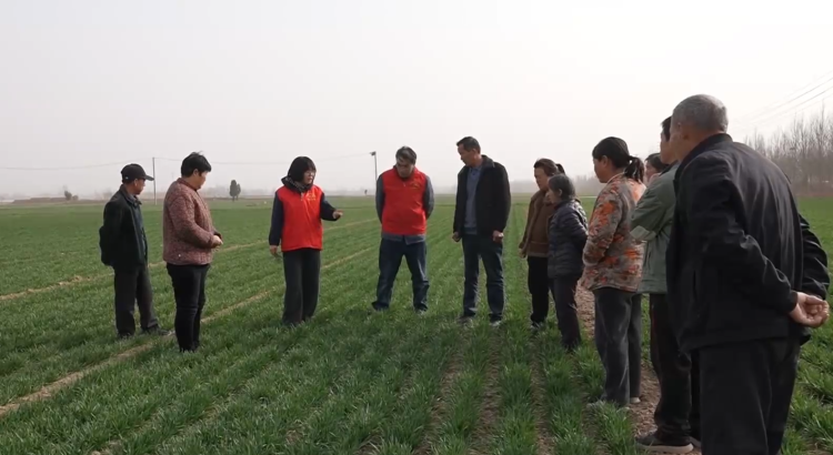 人勤春来早！工厂鸣笛开产，工程提速开工，山东全力冲刺新春“第一跑”