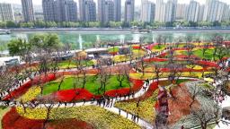 临夏永靖：全国文明城市创建 多年拼搏结硕果！