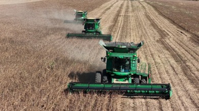 呼伦贝尔：沃野流金五谷丰