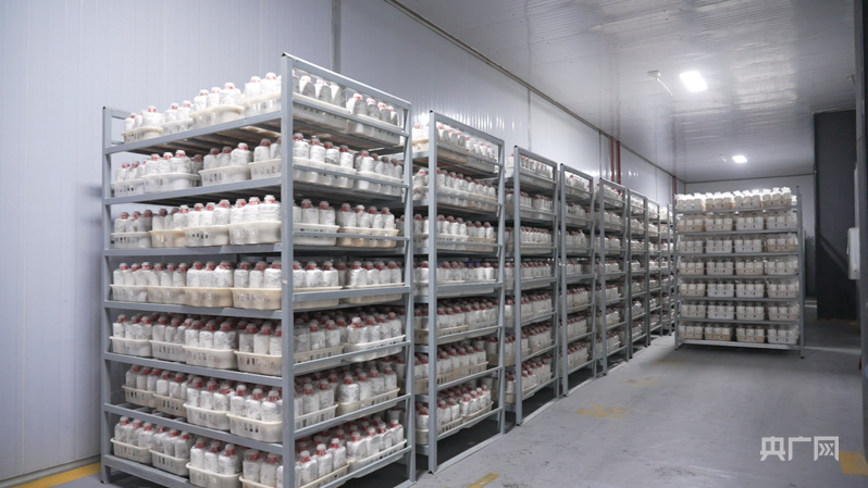 远山的回响丨远山新绿 白沙雨林的“两山”答卷