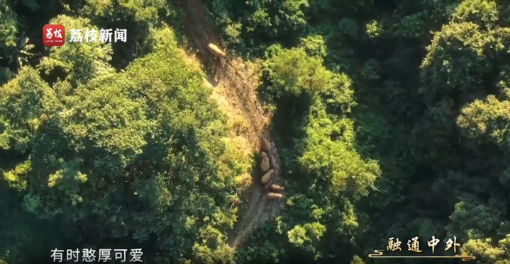 文耀中华｜第十集《融通中外》