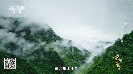 “云朵上”的羌茶，见证山地农耕的奇迹