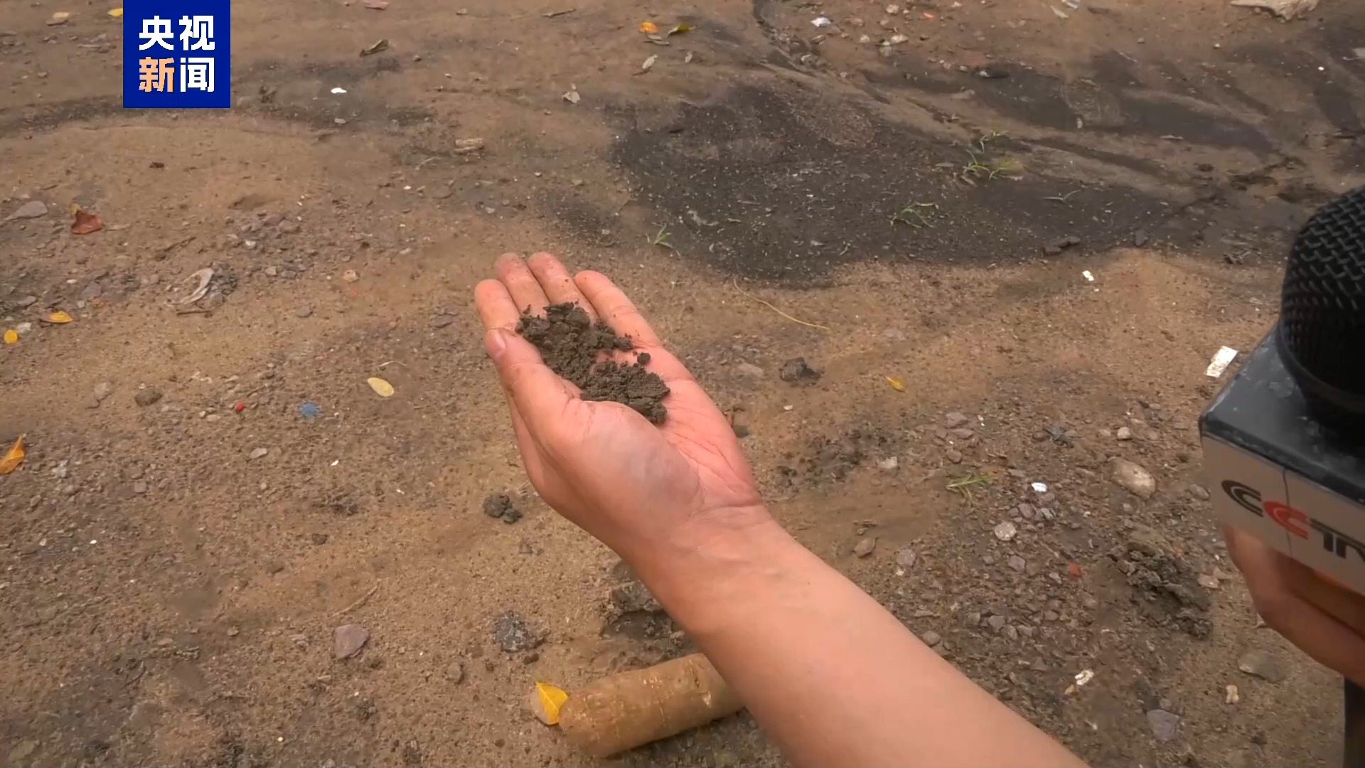 记者Vlog丨奶茶里的珍珠 刚果民众的主食 这种粮食作物了解一下→