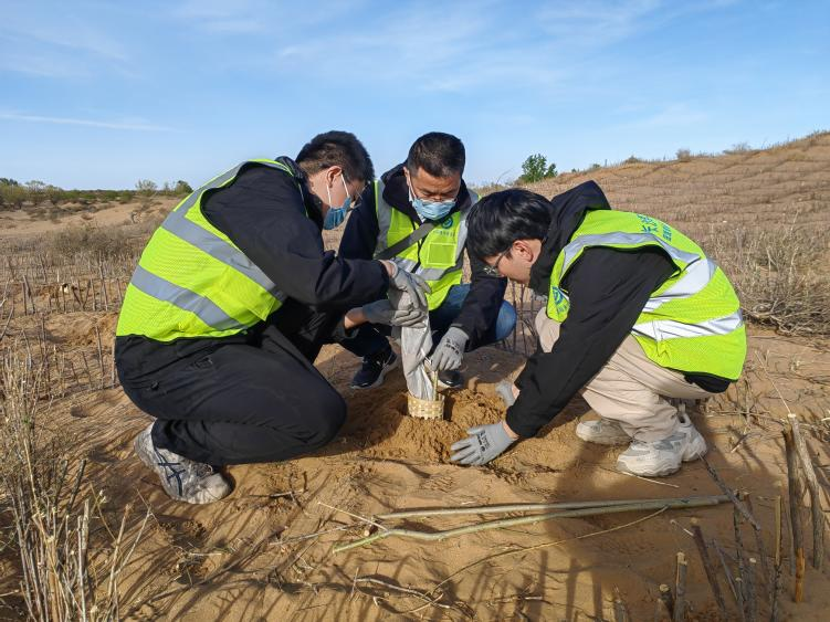 长沙理工大学科研团队助力打开沙漠生态治理新通道_fororder_4