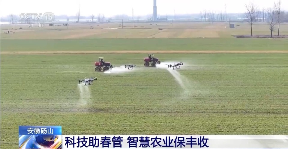 麦田返青、春花盛开……春天“拍了拍”你