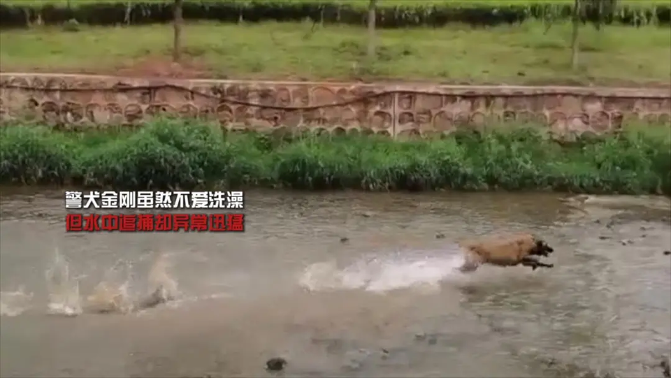“上班死气沉沉、殴打同事、不爱洗澡”，通报批评！