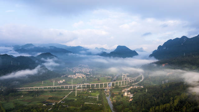 文化中国行·大暑 | 岭南稻浪收暑气，工夫茶香纳清欢