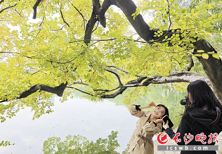 图片默认标题_fororder_ec33de3787551e3514c2afb7a475bde7watermark1691626403d7e1