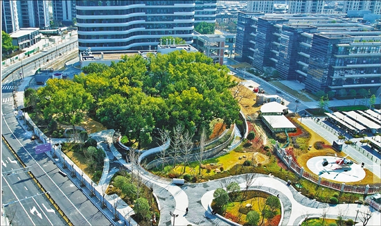 丽水城市建设项目为古树让路 保留地建成公园_fororder_zjrb2025061100001v01b004 (1)