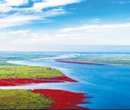 精细治理，守护碧海蓝天（美丽中国）