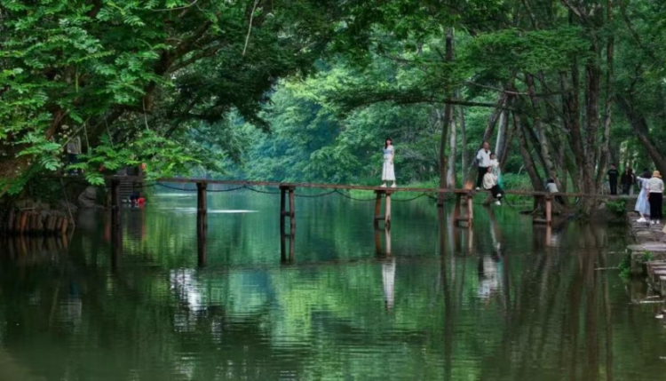 黄山市徽州区：志愿服务绘就和美乡村“幸福底色”_fororder_西溪南古村落