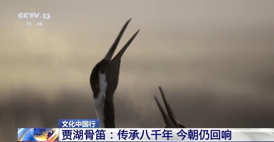 文化中国行丨贾湖骨笛：传承八千年 今朝仍回响