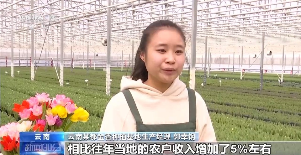 赶大集、岁末添金、买年宵花……你的年货置办好了吗?