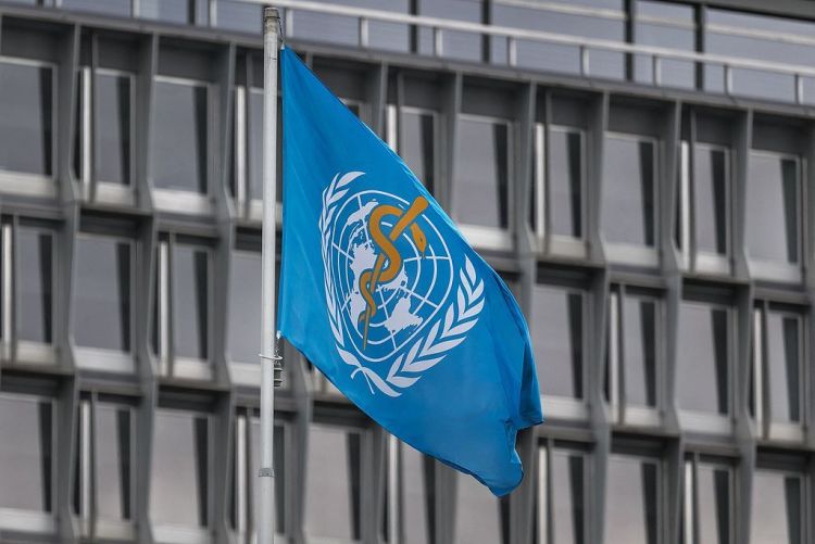 世卫组织：加沙地带超4.3万人因以军行动致残