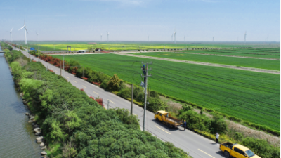State Grid Zhejiang Powers Rural Revitalization Through Targeted Agricultural Services