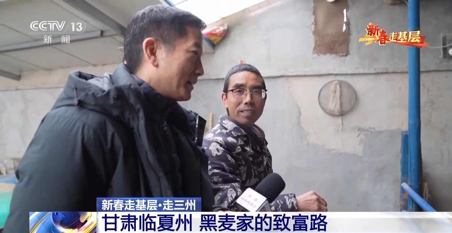 2025新春走基层丨大羊生小羊 卖羊又置羊 来看黑麦家的致富经