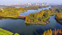 色彩斑斓洋湖美