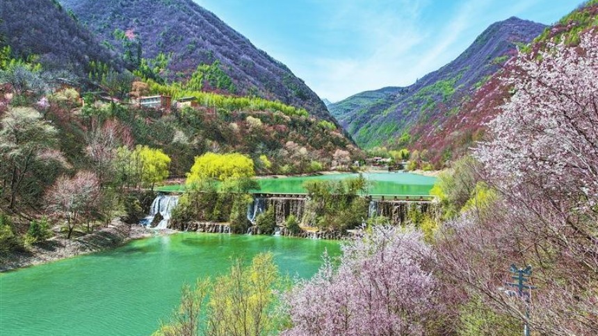 陇南宕昌：春山如黛 花映碧波