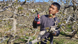 天水秦州：特色产业焕生机 富民兴村助振兴