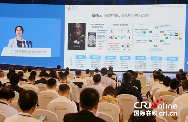 China International Big Data Industry Expo 2025 Kicks Off in Guiyang_fororder_图片4