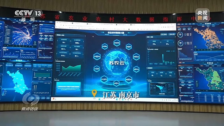 焦点访谈丨如何扎实推进乡村全面振兴?深化改革是关键
