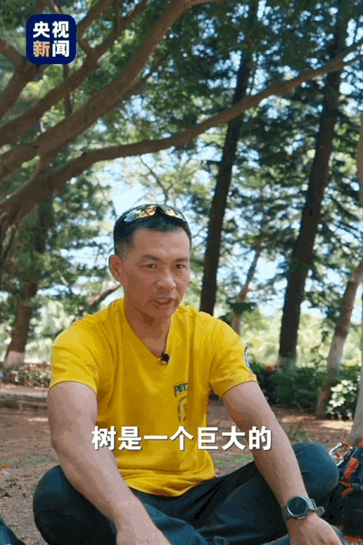 青春华章丨“爬树”也能修学分？这所高校的“攀树课”一课难求！