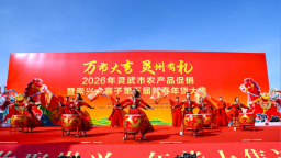 2026年灵武市农产品促销暨崇兴大寨子第五届新春年货大集圆满落幕
