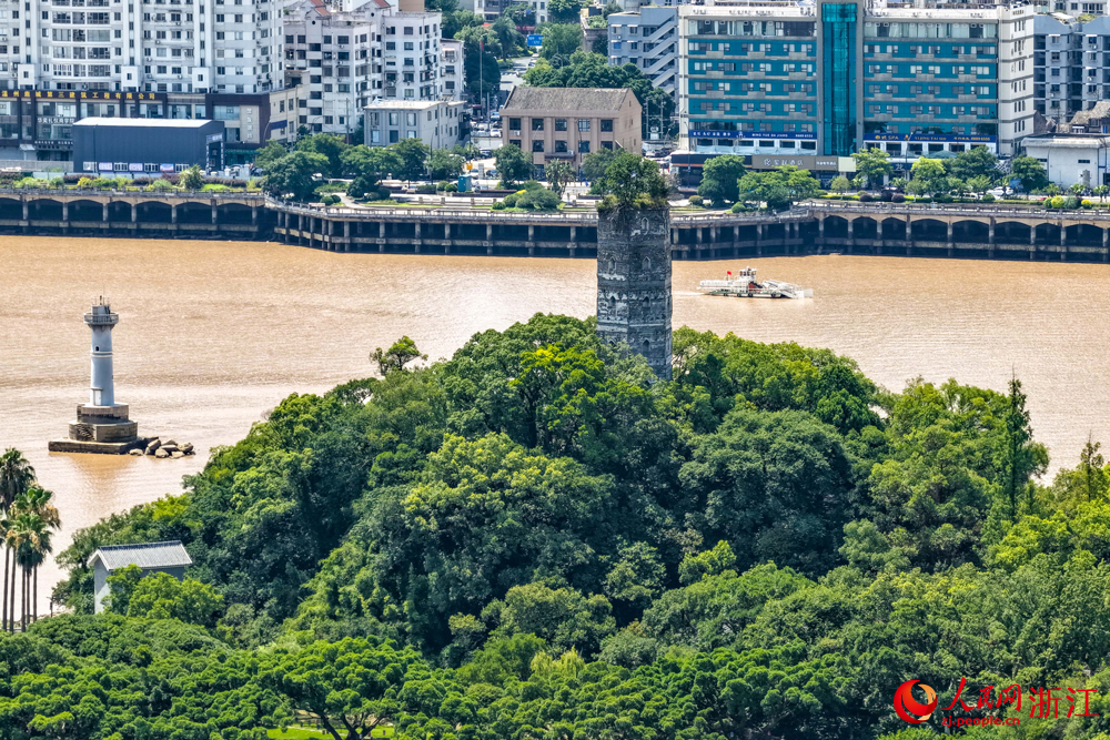 浙江温州：瓯江“碧玉”焕新韵
