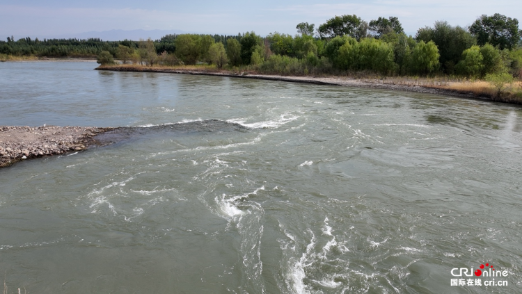 治水兴水看新疆丨百年“母亲渠”润泽“塞外江南”_fororder_图片3