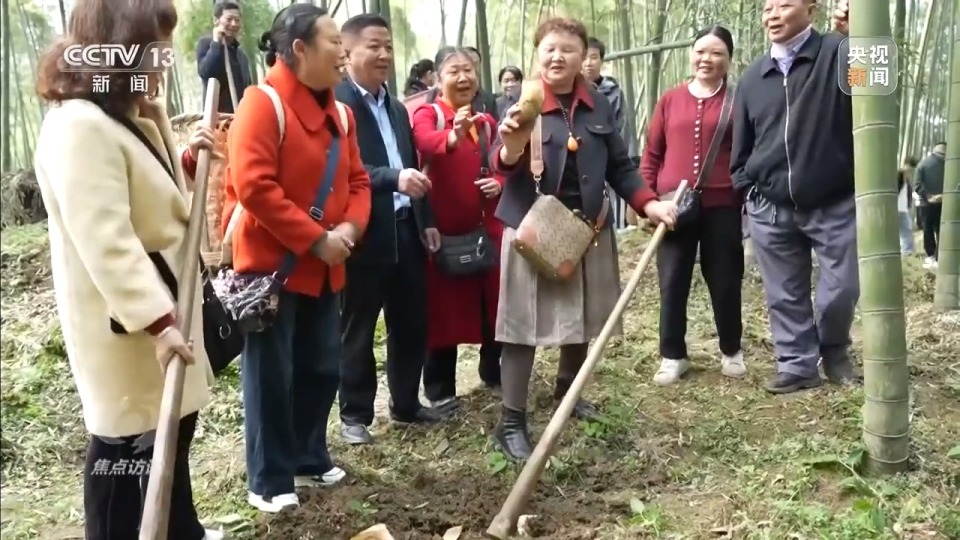 焦点访谈丨从春天出发 春日经济供需两旺活力足