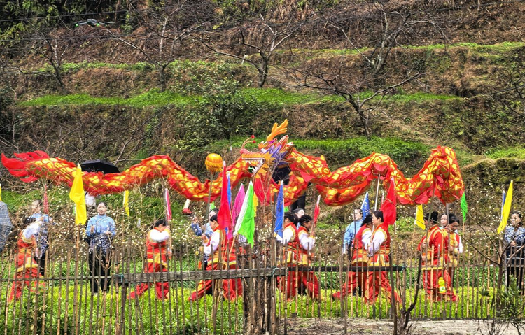 湖南桂东举行“我们的节日—麻雀节”民俗文化主题活动_fororder_图片2