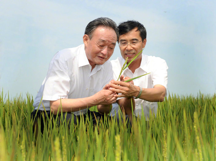 吴邦国同志生平照片