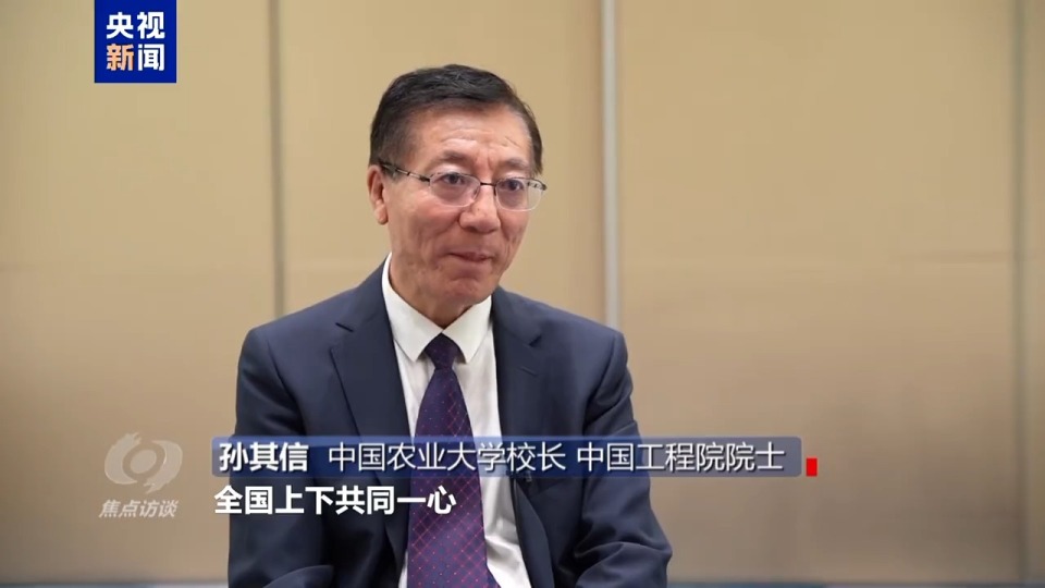 焦点访谈丨筑牢大国粮仓 中国人的饭碗端得更牢更稳
