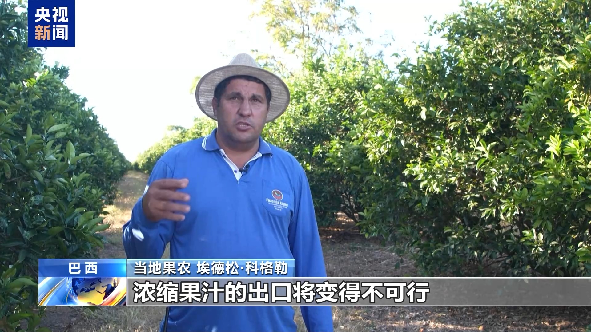 恐无奈让水果烂在树上 巴西果农忧心美加征关税冲击