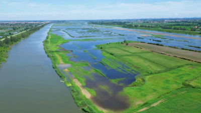 State Grid Xiaogan Power Supply Company: Guarding the “Underground Power Lines” of Diaocha Lake