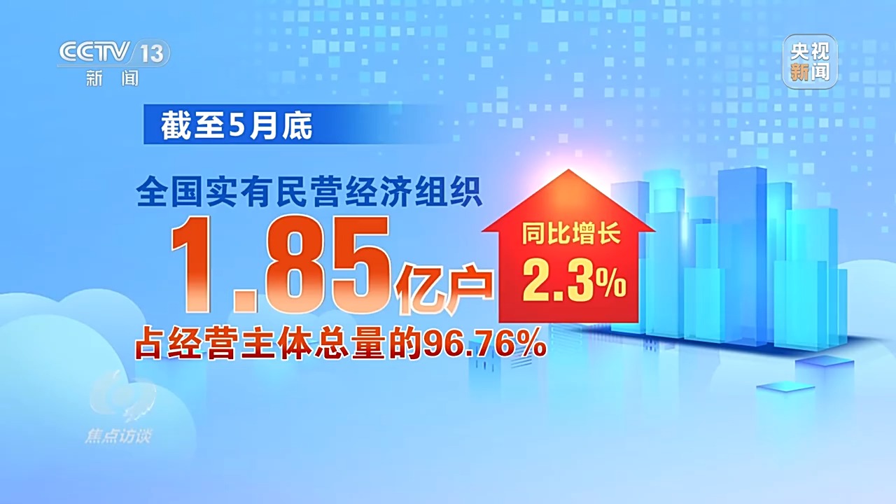 焦点访谈丨韧性十足 民营经济发展向好