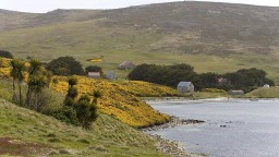 阿根廷说愿与英国重启谈判以解决马岛主权争端_fororder_20250610215202858