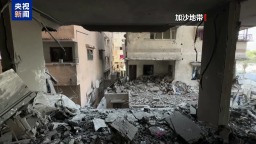 视频丨联合国官员呼吁关注巴勒斯坦人道局势