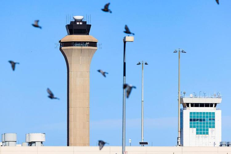 政府“停摆”持续 美国当天已取消890趟航班