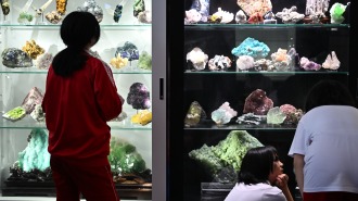 成交金额21亿元 第十三届中国（湖南）国际矿物宝石博览会闭幕