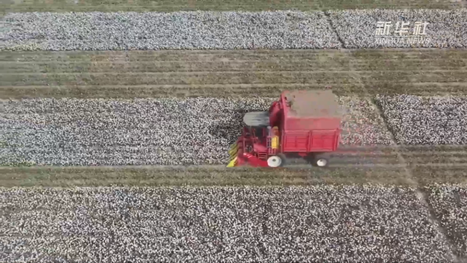 新疆：机械化为棉田生产赋能