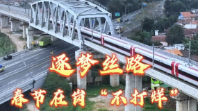 逐梦丝路 春节在岗“不打烊”_fororder_企业微信截图_20260211111347