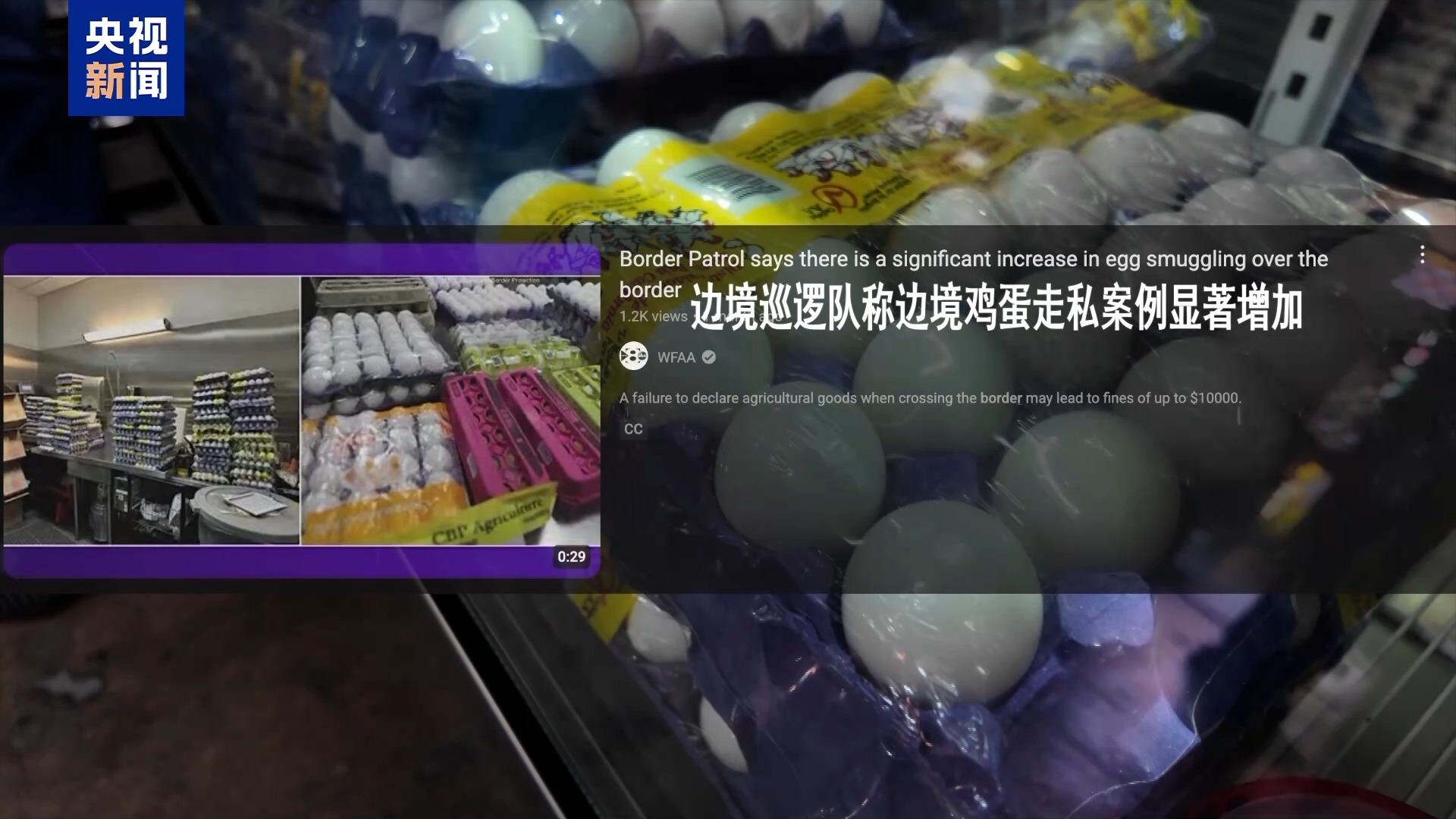 总台记者探访丨美国人跨境“寻蛋” 美墨边境鸡蛋走私案显著增加