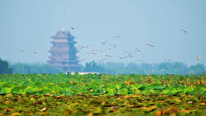 青春华章|【小苏说·家乡水】碧水蜿蜒处，蟒蛇河淌出乡村振兴“诗与远方”