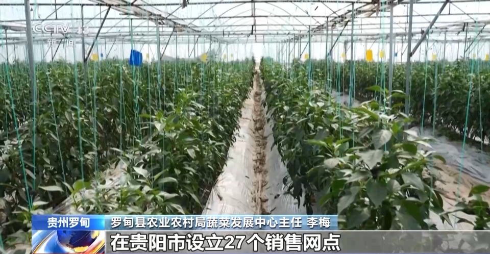 新品种新技术齐上阵 多地一片好“丰”景