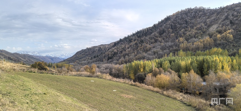 万人说新疆丨五湖四海聚新疆 看蓬勃发展“新”魅力