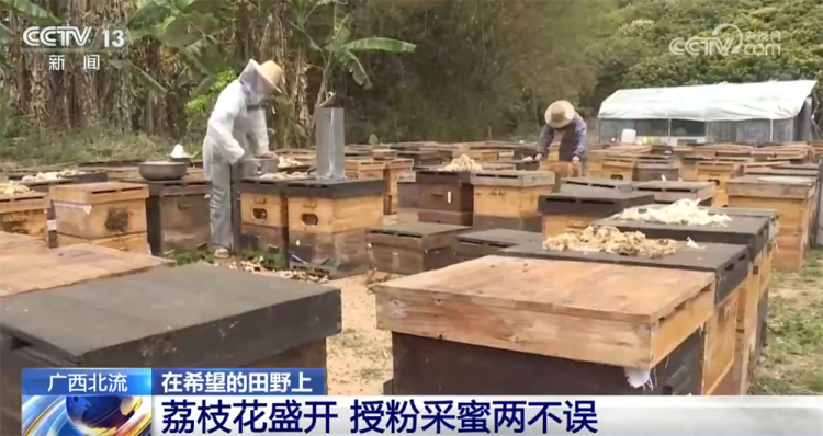智能设备描绘出一幅幅“数字春耕图” 希望的田野迸发勃勃生机