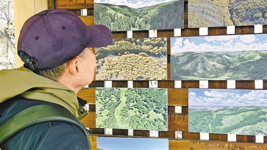 呼和浩特：草茂林丰的生态底色