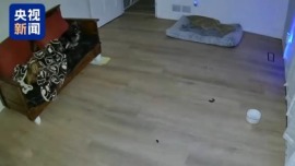 视频丨美阿拉斯加州发生6.0级地震 房屋剧烈摇晃震感明显